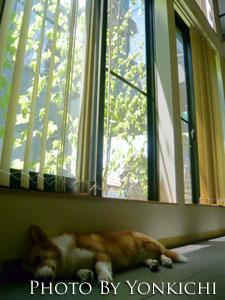 20110716.jpg